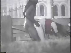 În loc de sfârcuri – negru membru