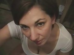 Dimineața deșteptat săi credincioși panza de paianjen