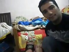 Tânăra heifer imită