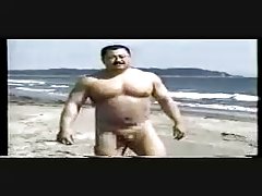 Sex de scris
