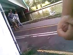 Vițel în ușoară erotismul